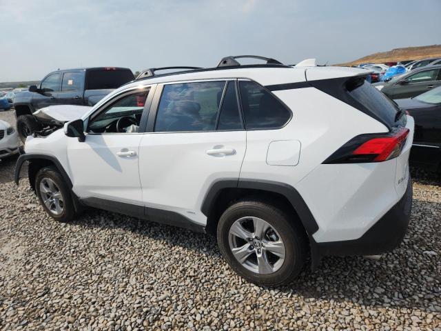 2024 TOYOTA RAVA 4 4T3RWRFVXRU128624