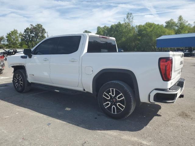2020 GMC SIERRA K1500 AT4 3GTP9EEL6LG390669