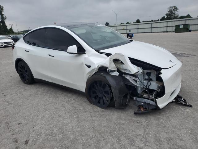 2020 TESLA MODEL Y 5YJYGDEE1LF011217