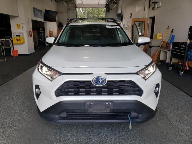 2021 TOYOTA RAV4 XLE PREMIUM 4T3B6RFV1MU047022