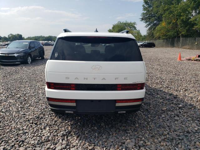 2025 HYUNDAI SANTA FE L - 5NMP3DG13SH043309