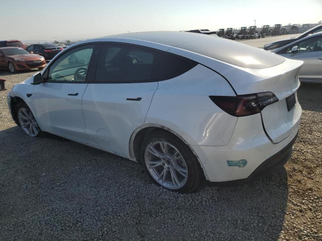 2021 TESLA MODEL Y 5YJYGAEE8MF283845