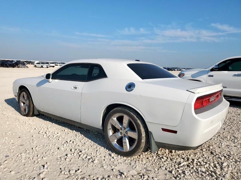 2010 DODGE CHALLENGER - 2B3CJ5DT0AH265429