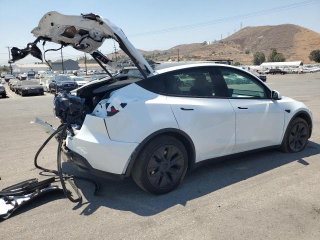2024 TESLA MODEL Y 7SAYGDEE6RF127377