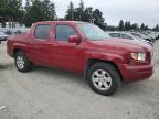 Lot #3316747419 2006 HONDA RIDGELINE