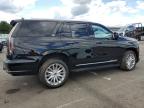 Lot #3301688650 2024 CADILLAC ESCALADE PREMIUM LUXURY