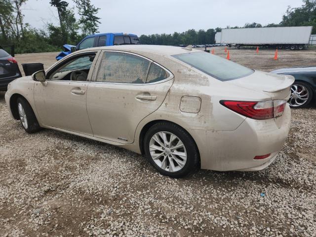 2013 LEXUS ES 300H - JTHBW1GG0D2006583
