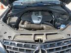 Lot #3308528512 2015 MERCEDES-BENZ ML 250 BLU