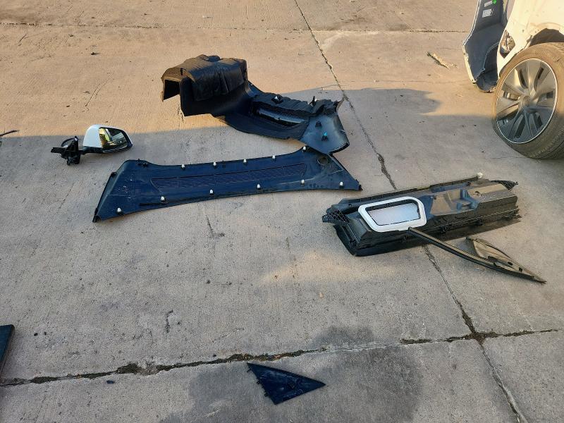 2023 TESLA MODEL Y #3301880454