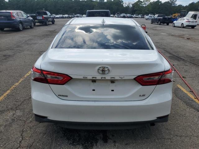 2019 TOYOTA CAMRY LE - 4T1B11HK3KU819481