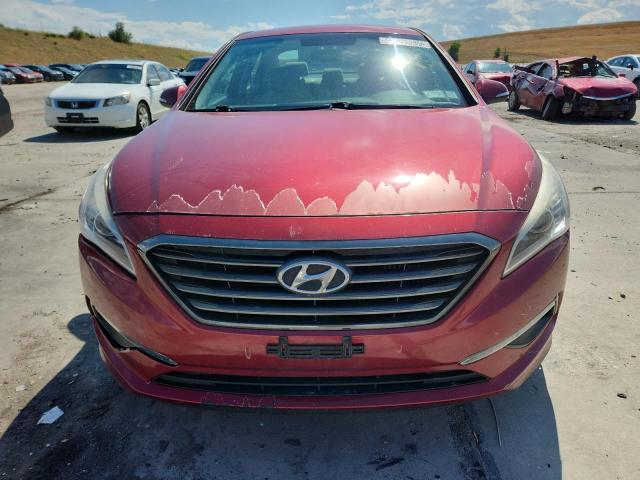 2016 HYUNDAI SONATA ECO 5NPE24AA8GH419838
