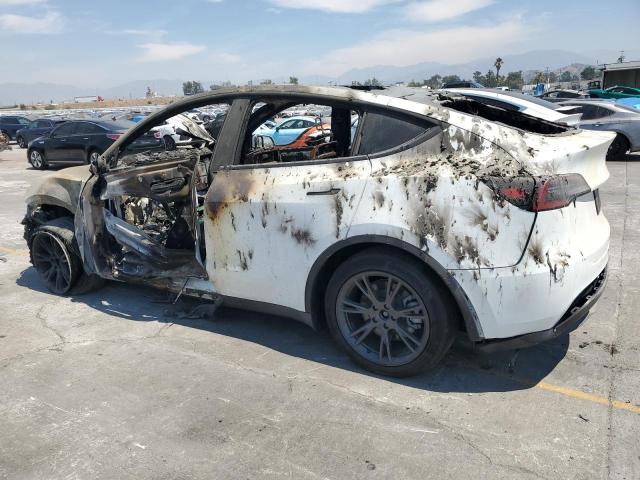 2025 TESLA MODEL Y 7SAYGDED5SF313117