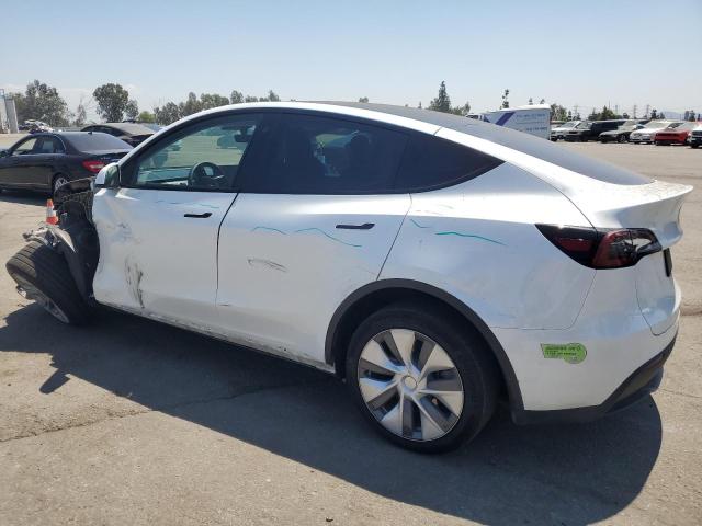 2023 TESLA MODEL Y 7SAYGDEE6PA103591