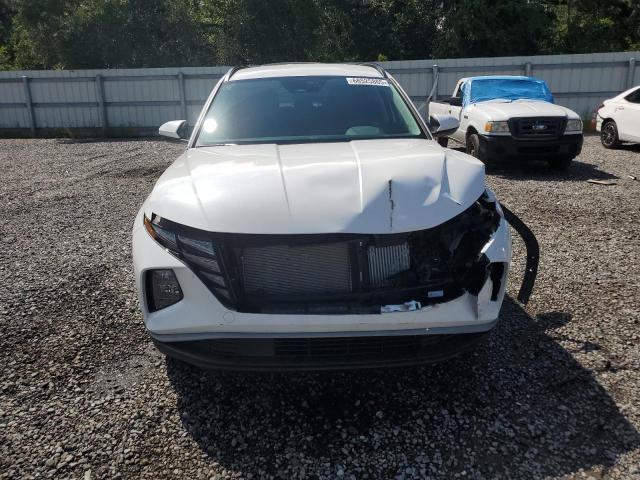 2024 HYUNDAI TUCSON BLU KM8JBCD15RU219198