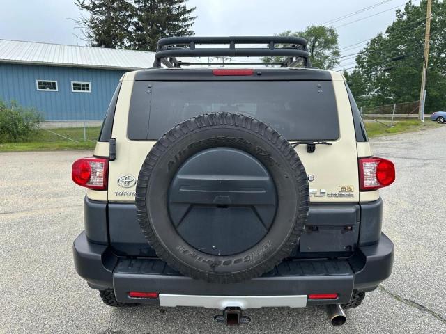 2010 TOYOTA FJ CRUISER - JTEBU4BF4AK094245
