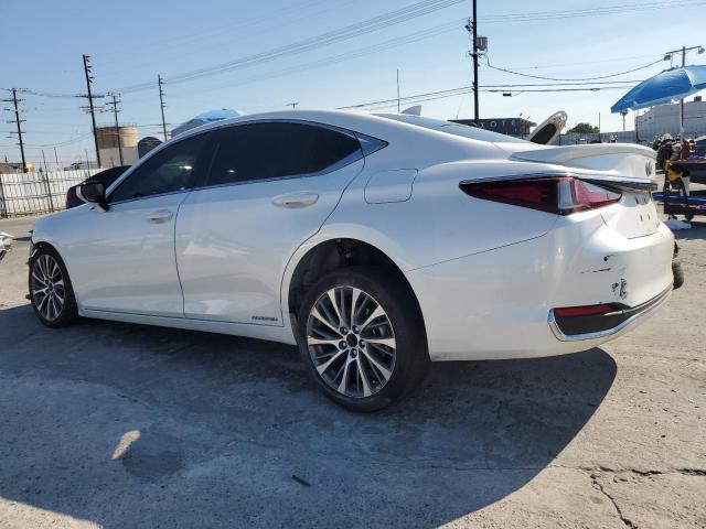 2021 LEXUS ES 300H - 58ADA1C10MU010071