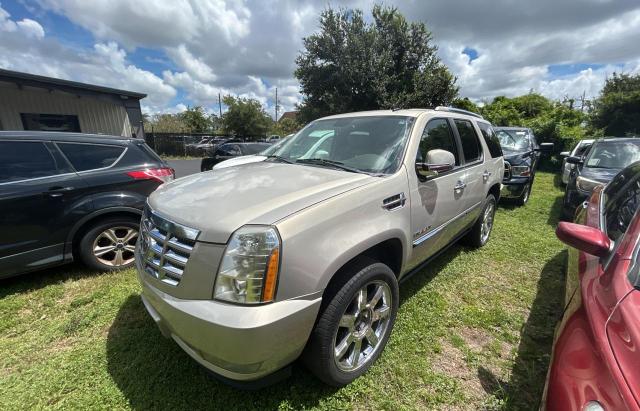 CADILLAC ESCALADE P 2010 gold 4dr spor flexible fuel 1GYUCCEF4AR180954 photo #3