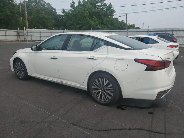 2025 NISSAN ALTIMA SV 1N4BL4DV8SN393965