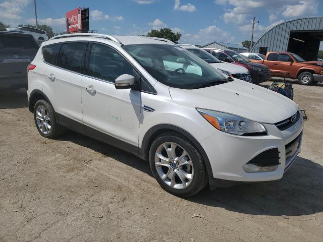 2014 FORD ESCAPE TIT - 1FMCU0JX4EUD31494