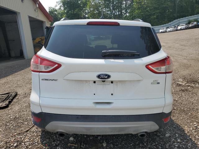 2014 FORD ESCAPE SE - 1FMCU9G96EUC80660