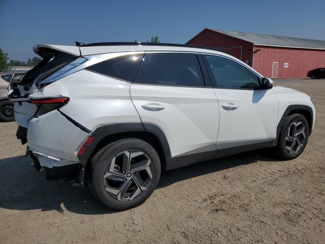 2023 HYUNDAI TUCSON LUXURY KM8JCCA18PU088752