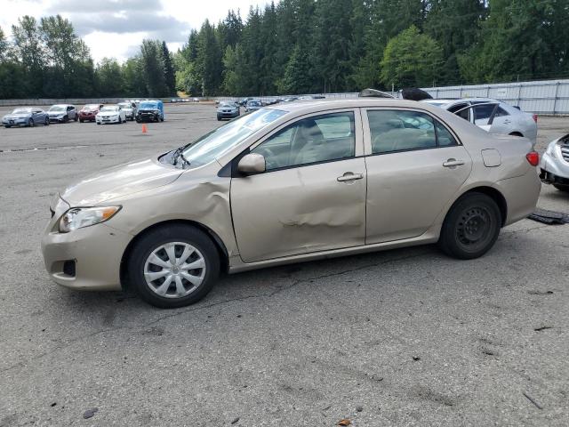 TOYOTA COROLLA BA