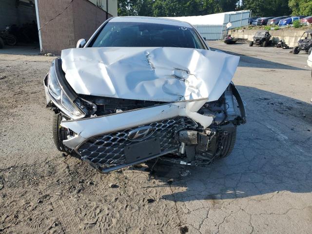 2019 HYUNDAI SONATA LIM 5NPE34AF2KH816656