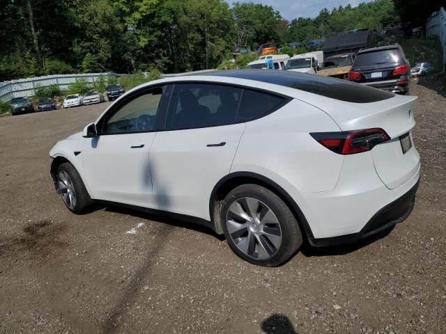 2023 TESLA MODEL Y - 7SAYGDEE1PF764576