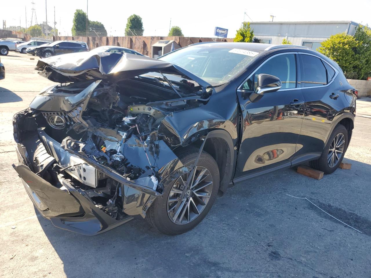 LEXUS NX 250 BASE
