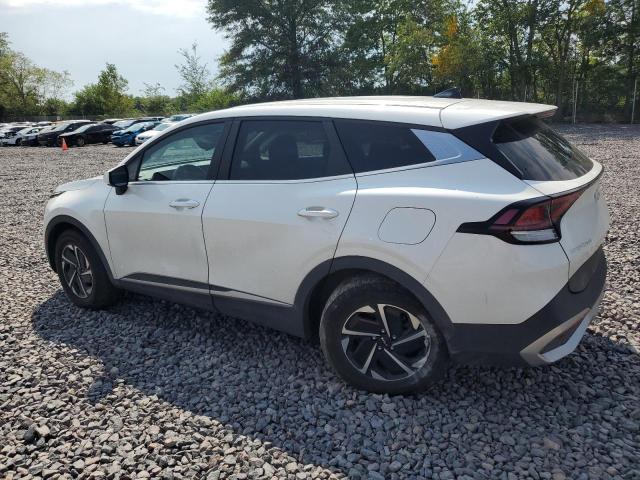 2023 KIA SPORTAGE L - KNDPUCAG3P7020275