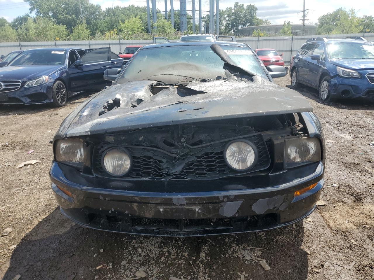 Lot #3273928801 2006 FORD MUSTANG GT