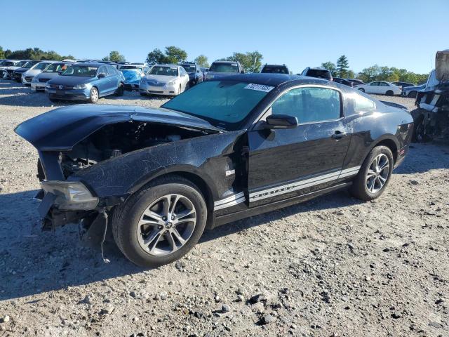 2013 FORD MUSTANG - 1ZVBP8AM4D5280693