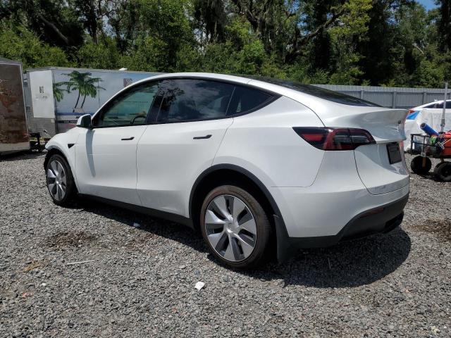 2023 TESLA MODEL Y 7SAYGDEE8PA147687