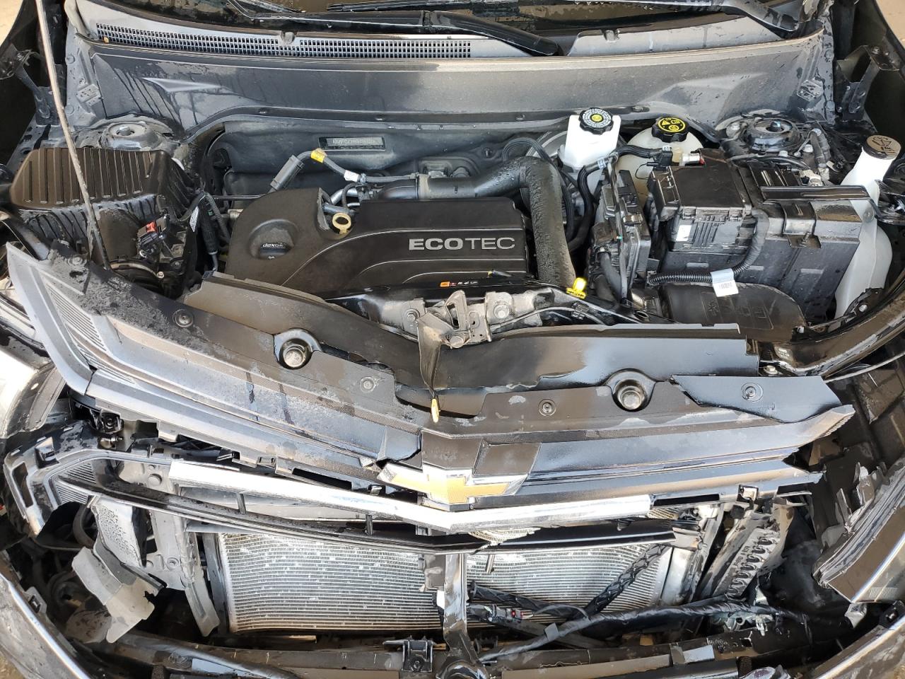 Lot #3221149915 2019 CHEVROLET EQUINOX LS