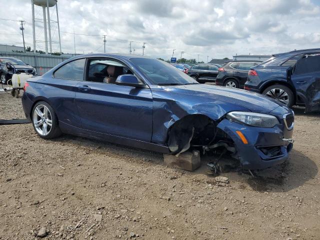 2015 BMW 228 XI SUL WBA1G9C50FVX96463