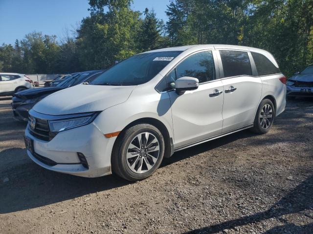 Global Auto Auctions: 2022 HONDA ODYSSEY EX