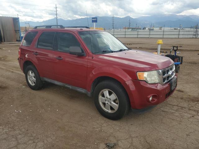 2011 FORD ESCAPE XLT - 1FMCU9D71BKC11630