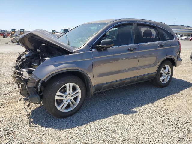 HONDA CR-V SE 2011 gray 4dr spor gas 5J6RE3H4XBL001959 photo #1