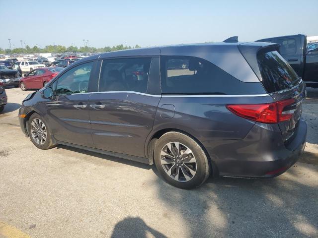 2022 HONDA ODYSSEY EXL 5FNRL6H79NB060709