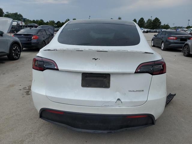 2023 TESLA MODEL Y 7SAYGDEF8PF646582