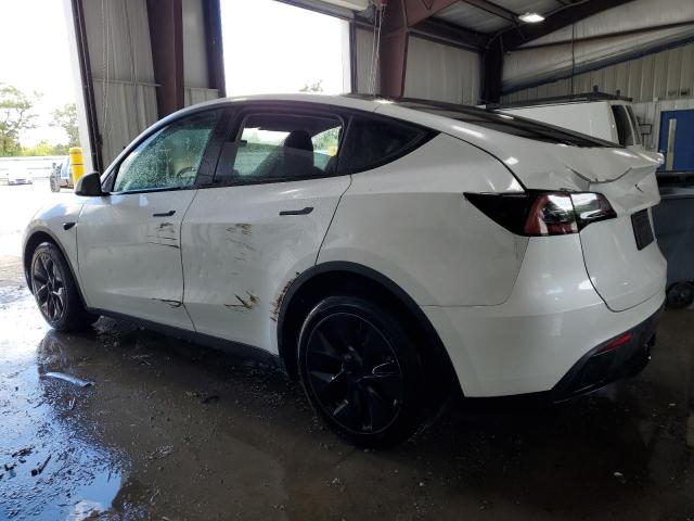 2024 TESLA MODEL Y 7SAYGDEE5RF185657