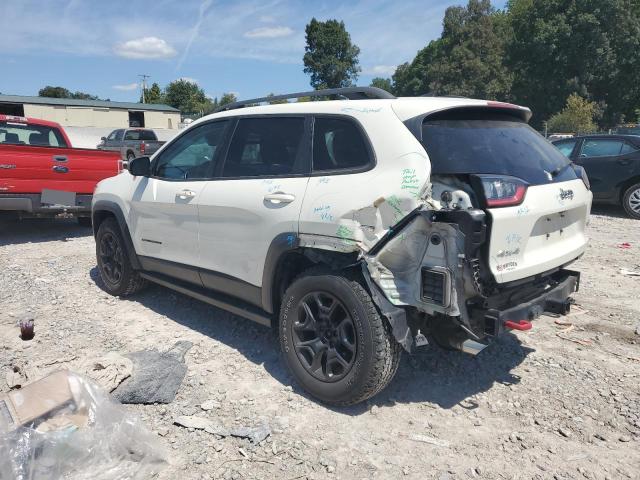 2019 JEEP CHEROKEE TRAILHAWK 1C4PJMBX7KD123478