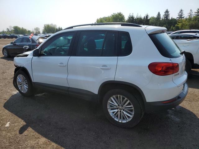 2016 VOLKSWAGEN TIGUAN COM WVGJV7AXXGW027381