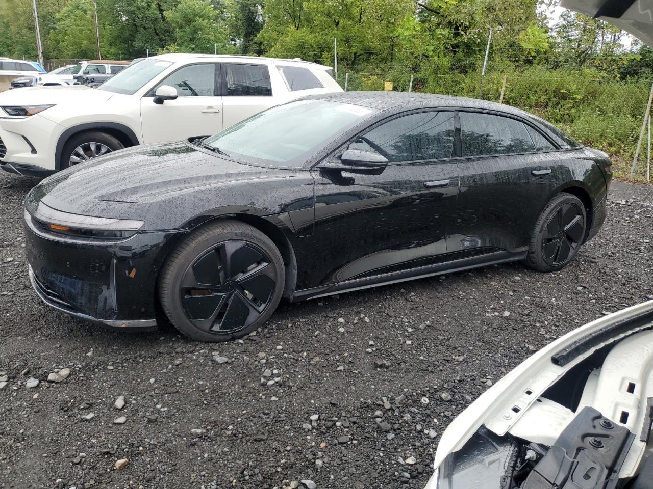 LUCID AIR PURE