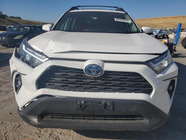 2023 TOYOTA RAV4 WOODLAND EDITION 2T3UWRFV3PW164615