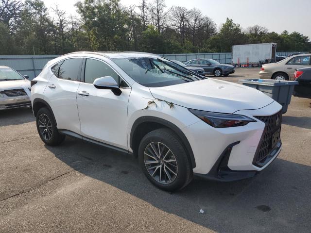 2024 LEXUS NX 250 BAS JTJADCAZ9R5014161