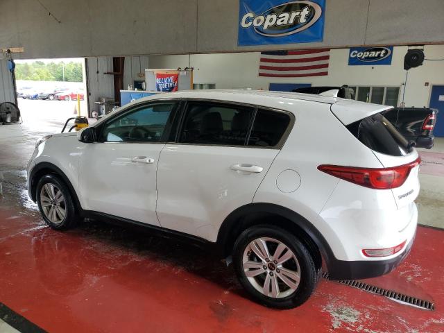 2017 KIA SPORTAGE L KNDPM3AC6H7211896