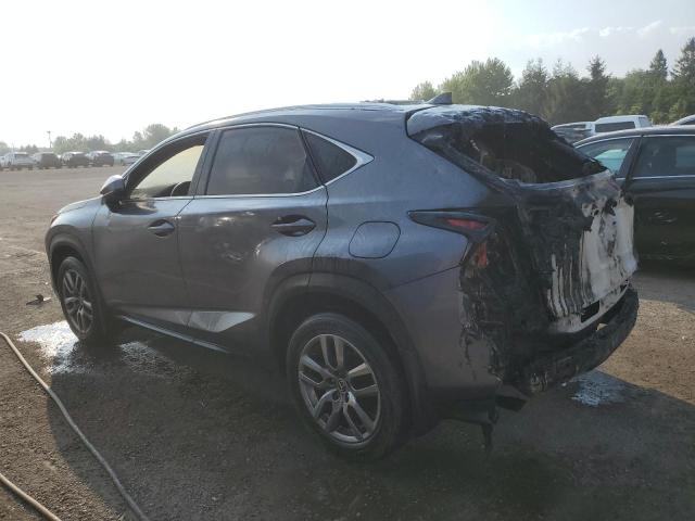 2020 LEXUS NX 300 JTJGARDZ8L5013656