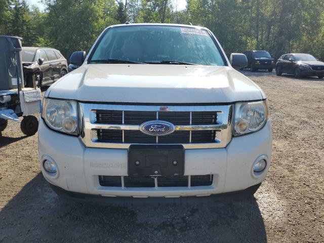 2010 FORD ESCAPE XLT - 1FMCU9DG9AKA91333