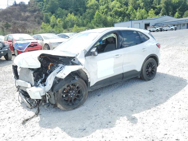 Global Auto Auctions: 2020 FORD ESCAPE SE SPORT
